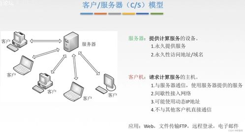 計算機(jī)網(wǎng)絡(luò)基礎(chǔ)第六章 計算機(jī)軟硬件及網(wǎng)絡(luò)技術(shù)開發(fā)